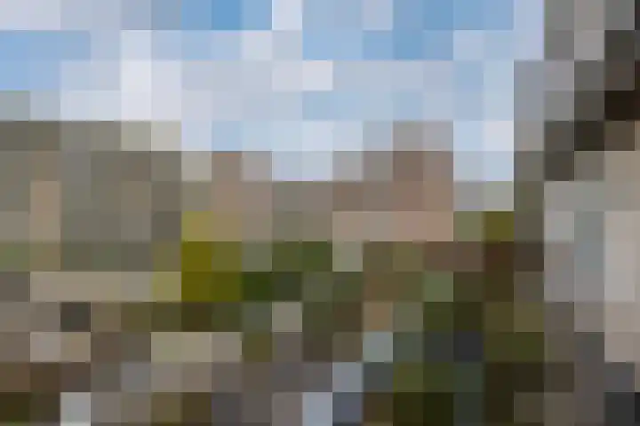 Egger 28 Leusden thumbnail 18