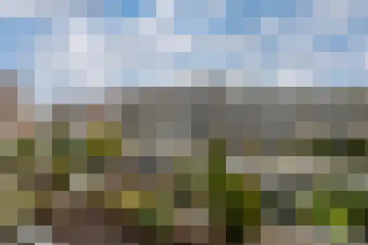 Egger 28 Leusden thumbnail 19