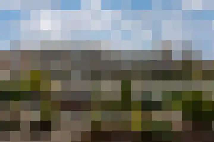 Egger 28 Leusden thumbnail 20