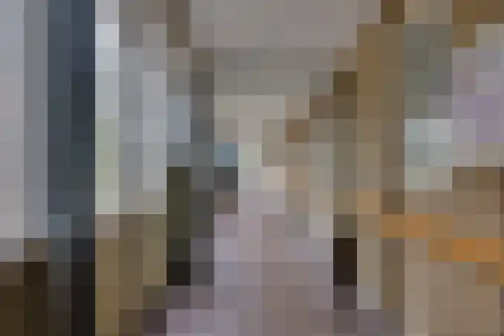 Egger 28 Leusden thumbnail 21