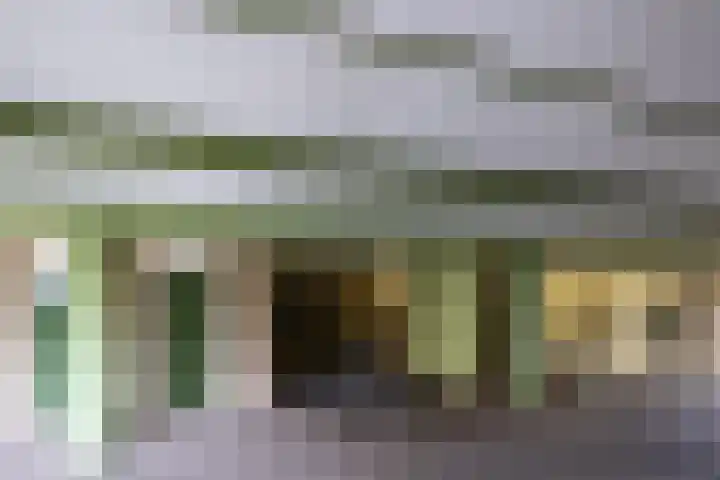 Egger 28 Leusden thumbnail 23