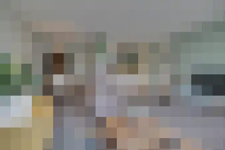 Egger 28 Leusden thumbnail 6