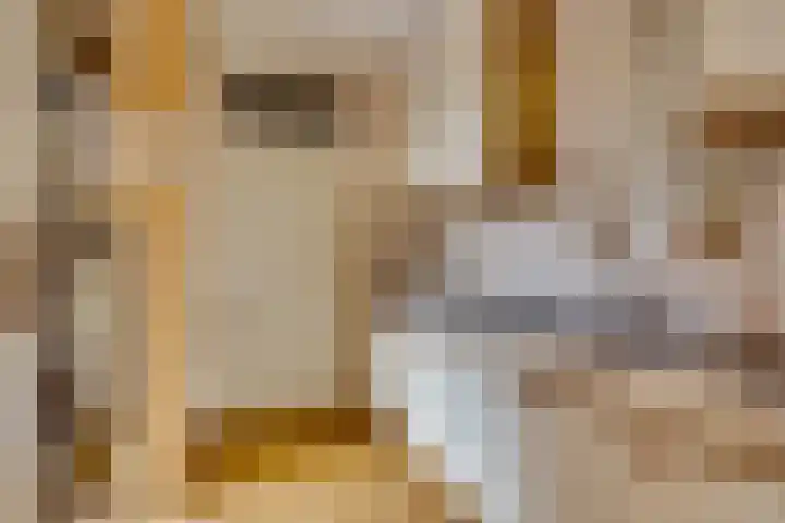 Egger 46 Leusden thumbnail 12