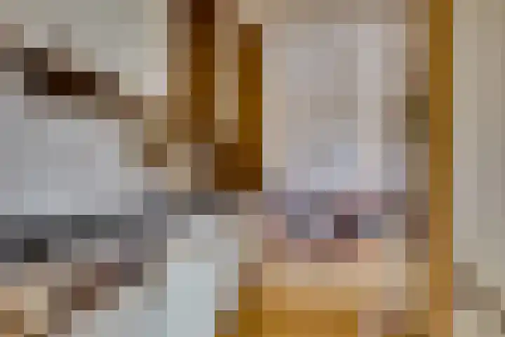 Egger 46 Leusden thumbnail 13