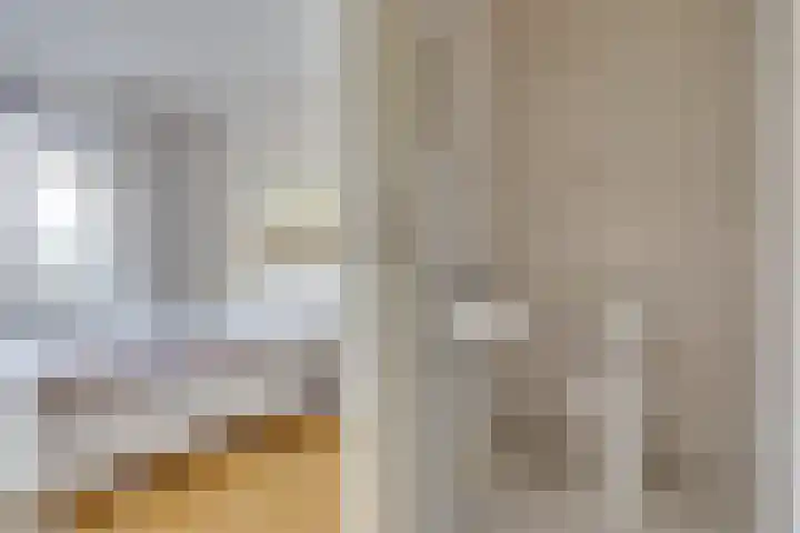 Egger 46 Leusden thumbnail 15