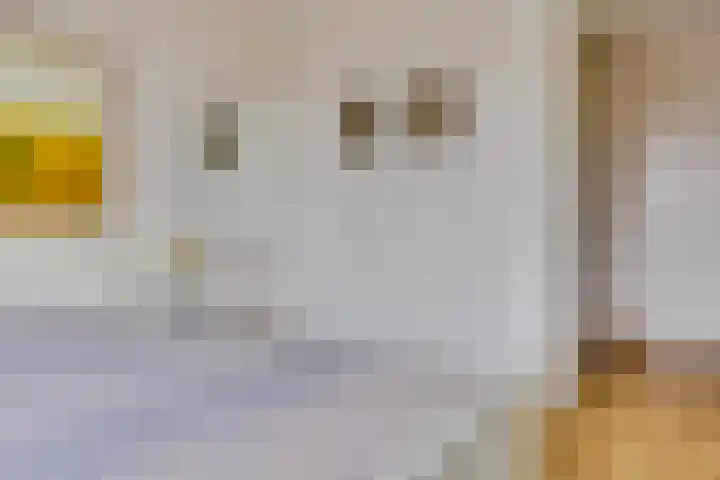 Egger 46 Leusden thumbnail 18