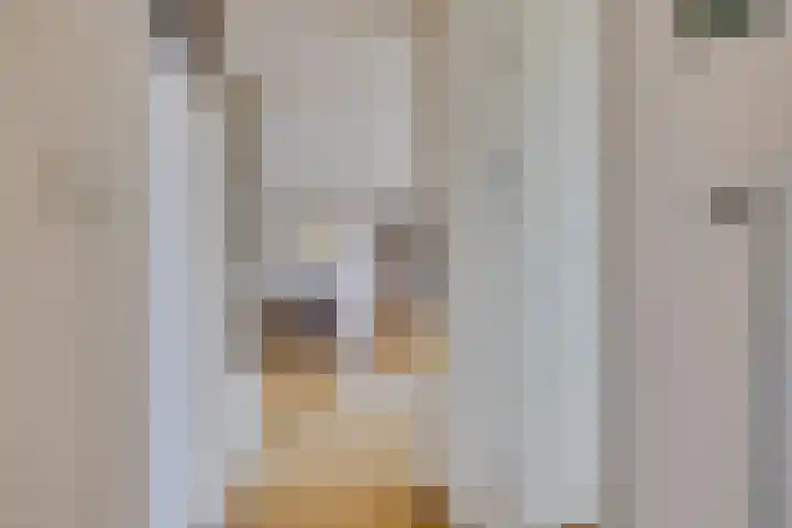 Egger 46 Leusden thumbnail 21