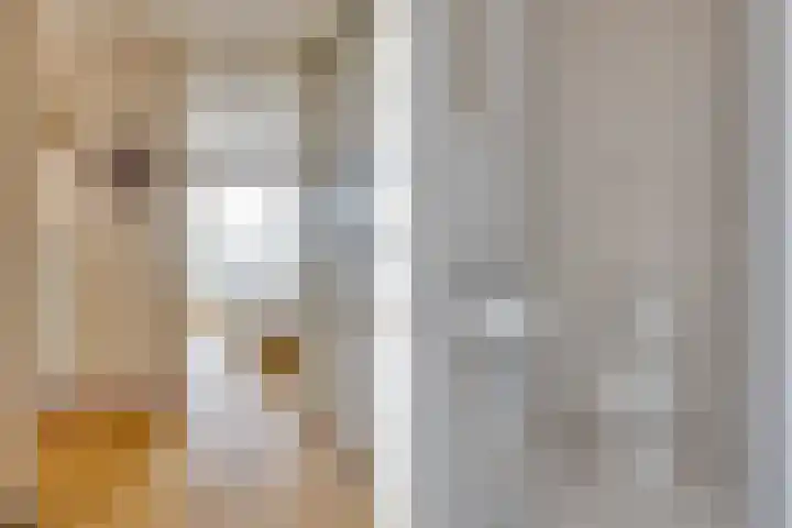 Egger 46 Leusden foto 3