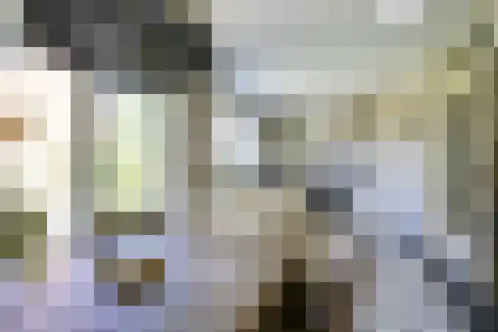 Eggeveld 3 Houten thumbnail 13