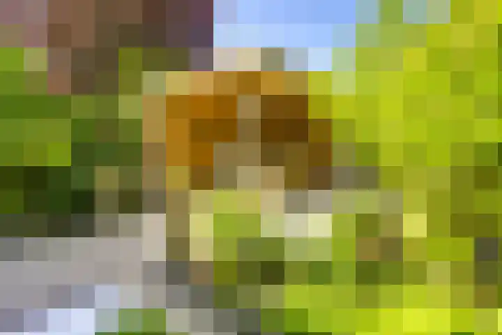 Eggeveld 3 Houten thumbnail 15