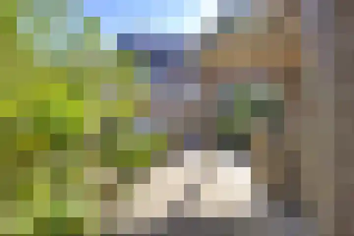 Eggeveld 3 Houten thumbnail 17