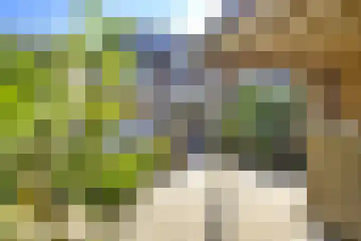 Eggeveld 3 Houten thumbnail 18