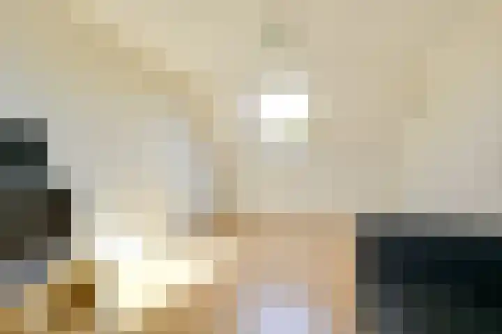 Eggeveld 3 Houten thumbnail 27