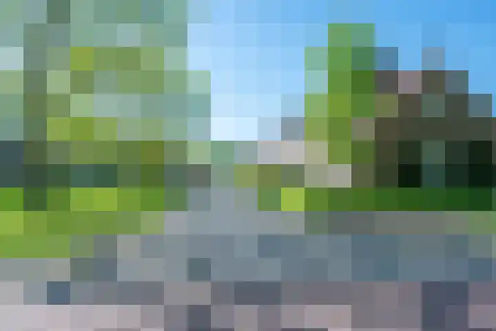 Eggeveld 3 Houten thumbnail 32