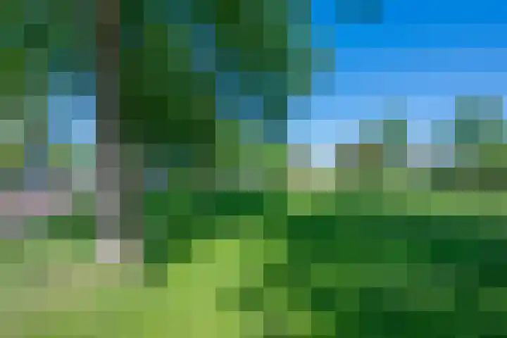Eggeveld 3 Houten thumbnail 33