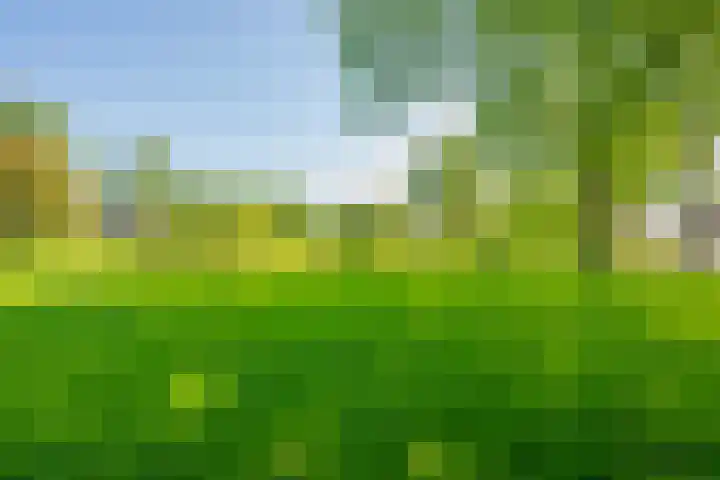 Eggeveld 3 Houten thumbnail 34