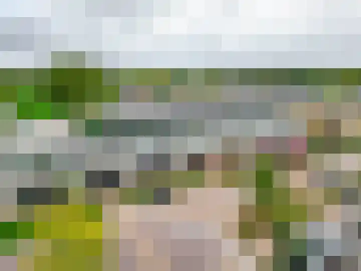 Egginklaan 2 42 Havelte thumbnail 48