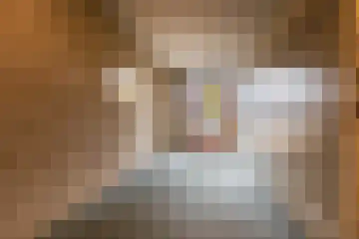 Egginklaan 2 42 Havelte thumbnail 8