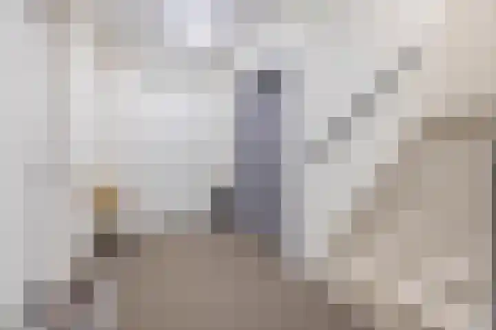 Egginklaan 4 8 Havelte thumbnail 13