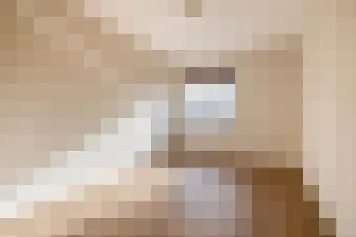 Egginklaan 4 8 Havelte thumbnail 22