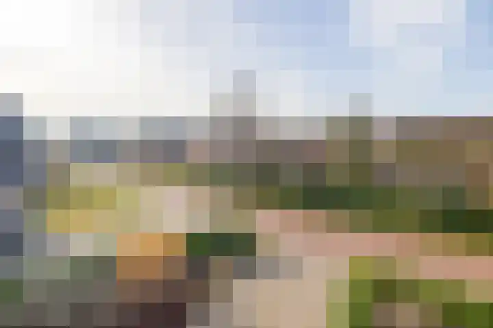 Egginklaan 4 8 Havelte thumbnail 33