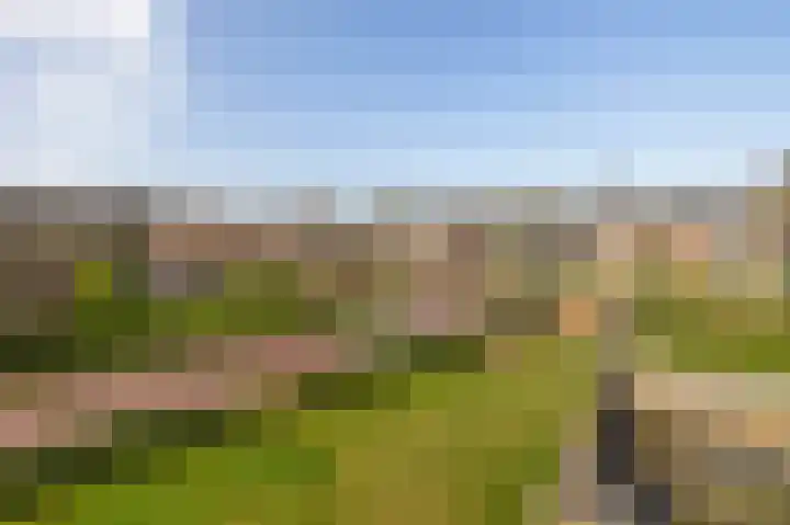 Egginklaan 4 8 Havelte thumbnail 34