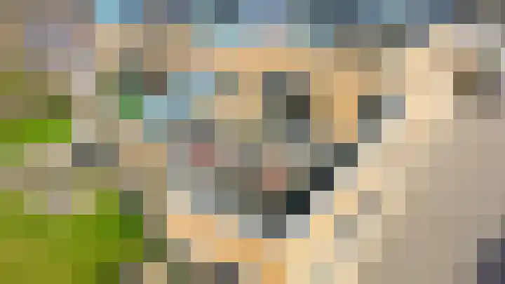 Egginklaan 4 8 Havelte thumbnail 4