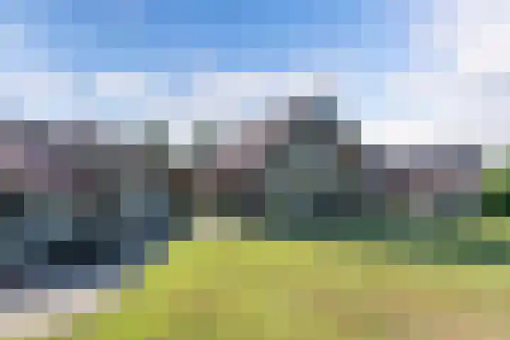 Egginkstraat 21 Wapse