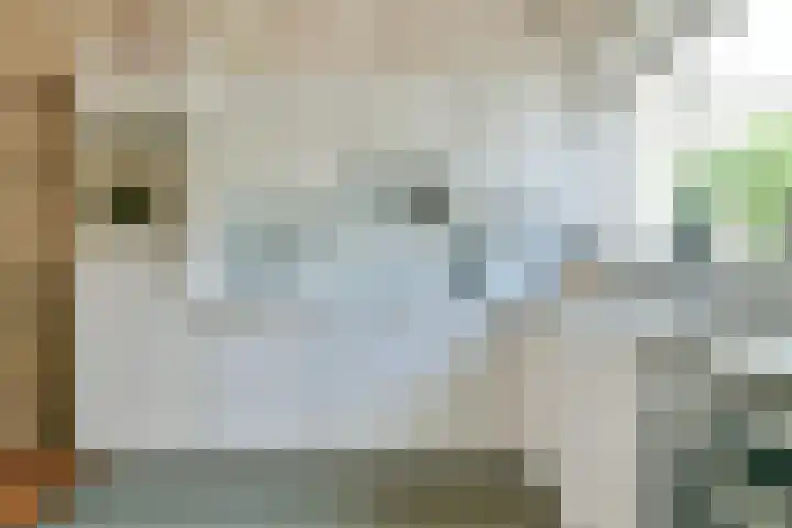 Egholm 44 Hoofddorp thumbnail 15