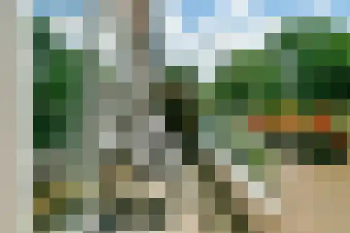 Egholm 44 Hoofddorp thumbnail 17