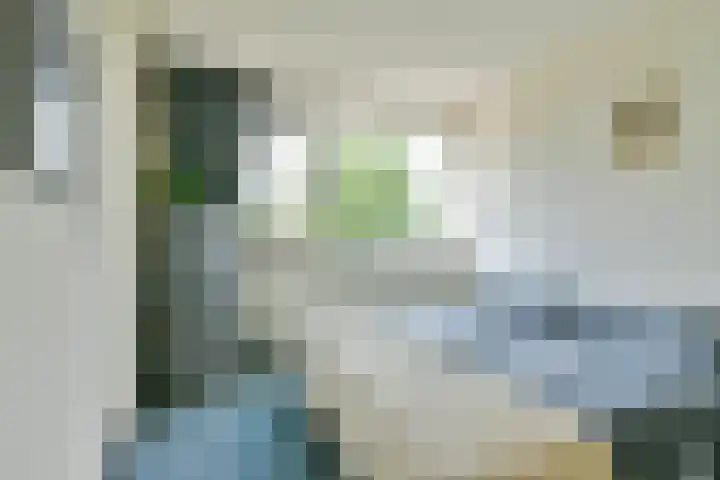 Egholm 44 Hoofddorp thumbnail 26