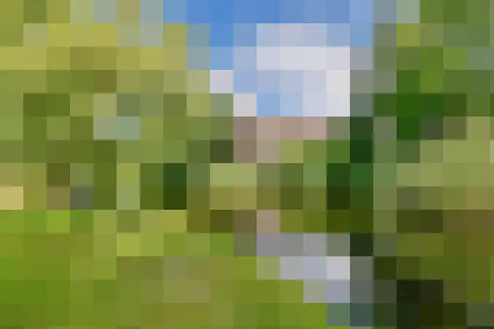 Egholm 44 Hoofddorp thumbnail 28