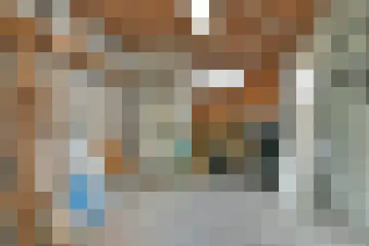 Egholm 44 Hoofddorp thumbnail 29