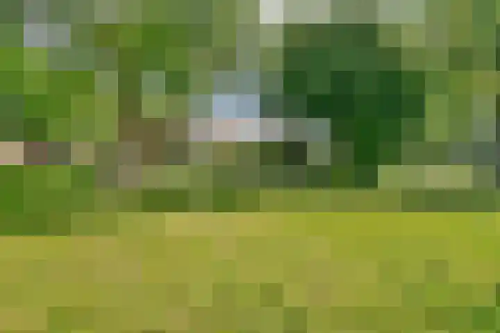 Egholm 44 Hoofddorp thumbnail 30