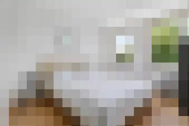 Eglantier 37 Brunssum thumbnail 13