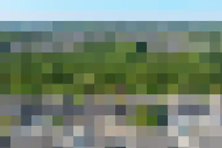 Eglantier 37 Brunssum thumbnail 25