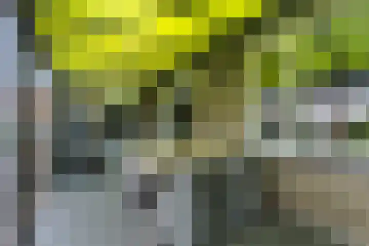 Eglantier 78 Brunssum thumbnail 25