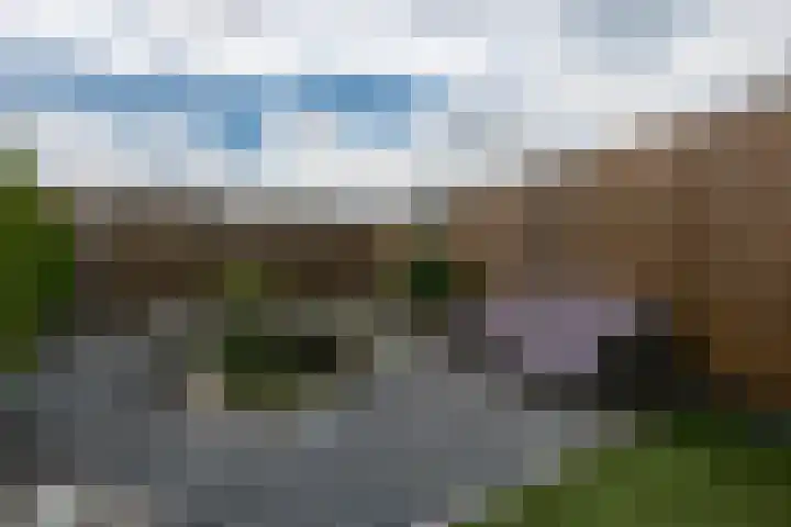 Eglantier 78 Brunssum thumbnail 27