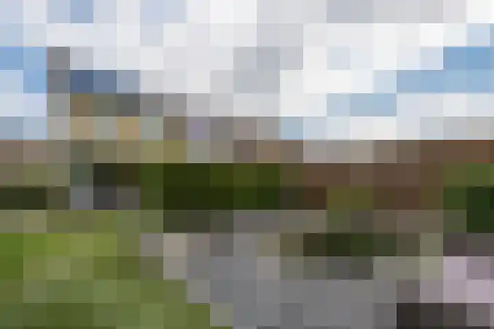 Eglantier 78 Brunssum thumbnail 28