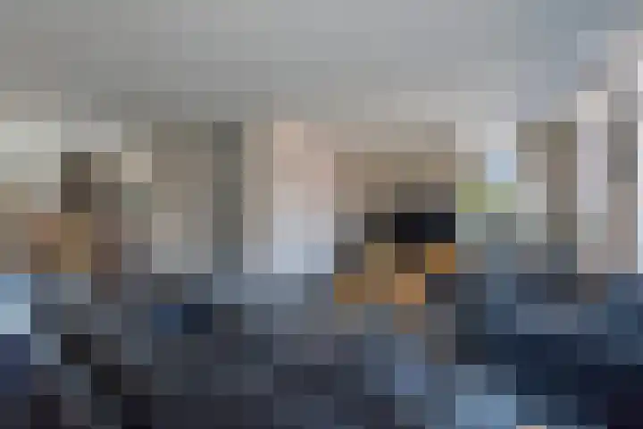 Eglantier 78 Brunssum thumbnail 6