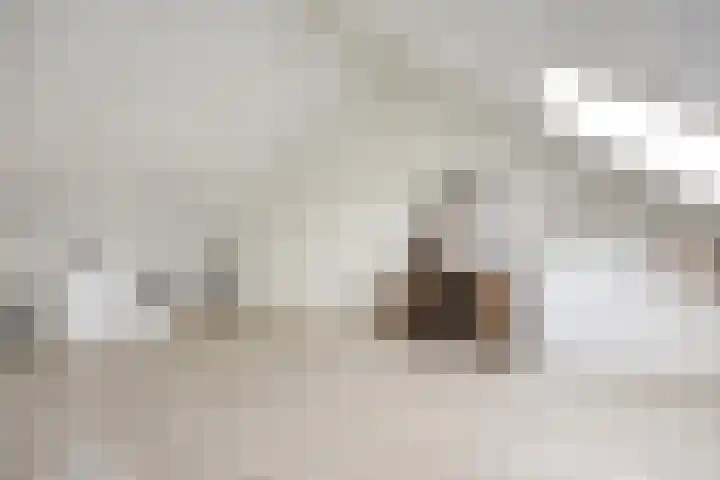 Egmond 12 Boxmeer thumbnail 22
