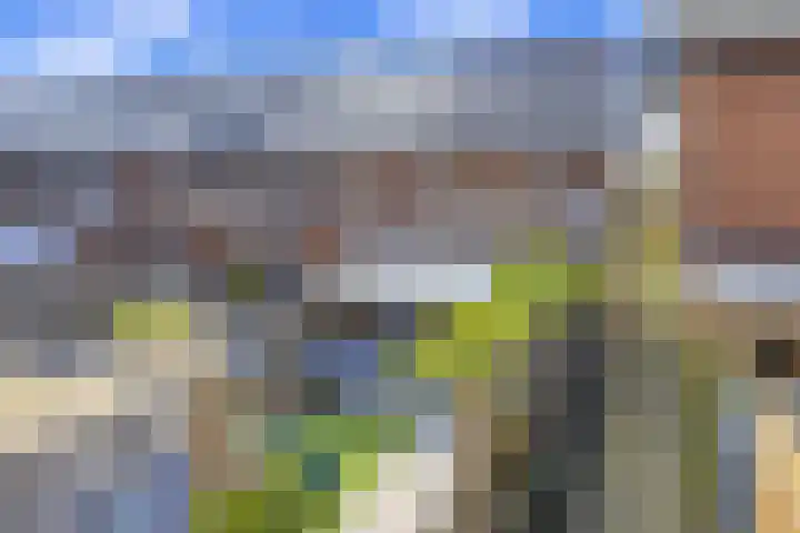 Egmond 12 Boxmeer thumbnail 25