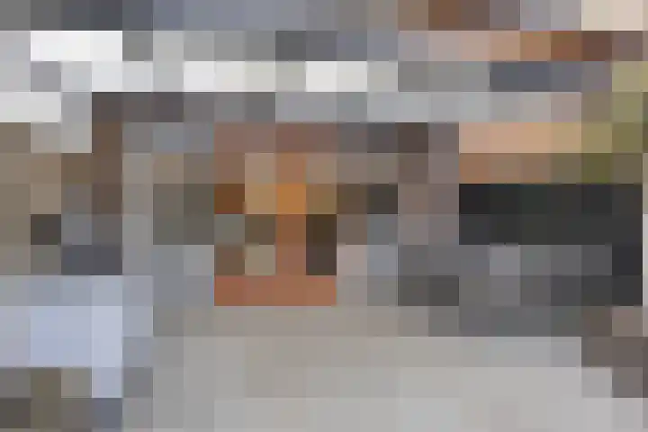 Egmond 12 Boxmeer thumbnail 26