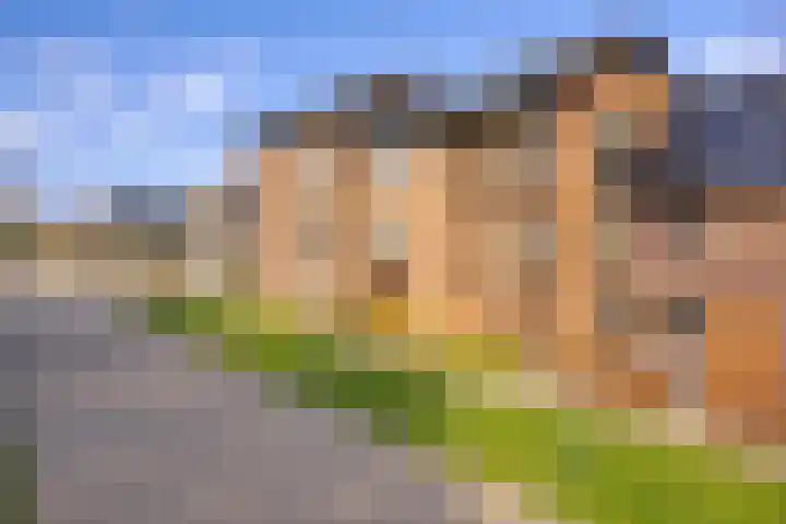 Egmond 12 Boxmeer thumbnail 34