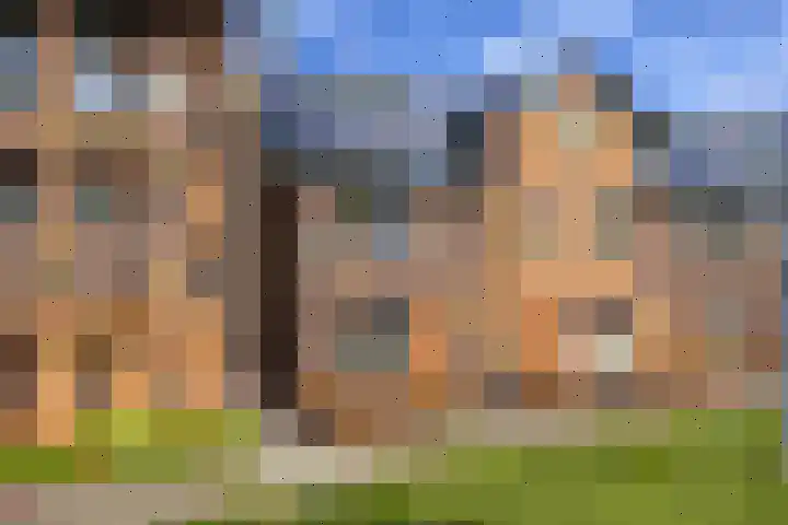 Egmond 12 Boxmeer thumbnail 36