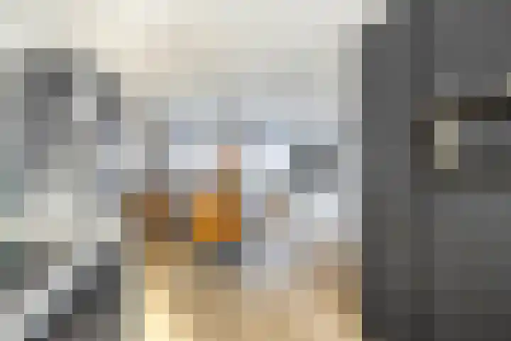 Egmond 12 Boxmeer thumbnail 8
