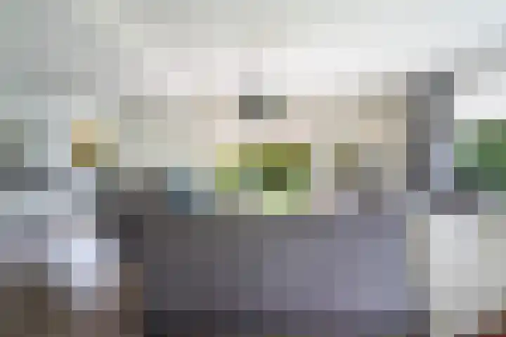 Egypte 2 Otterlo thumbnail 19