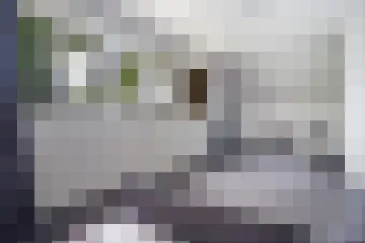 Egypte 2 Otterlo thumbnail 34
