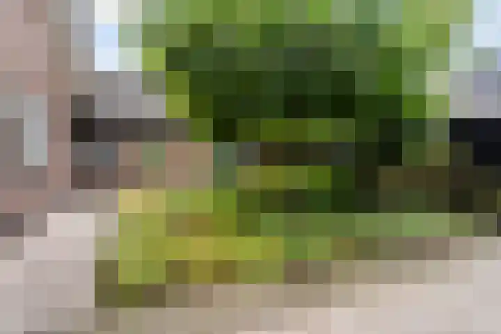 Egypte 2 Otterlo thumbnail 45