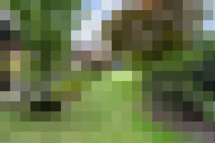 Egypte 2 Otterlo thumbnail 54